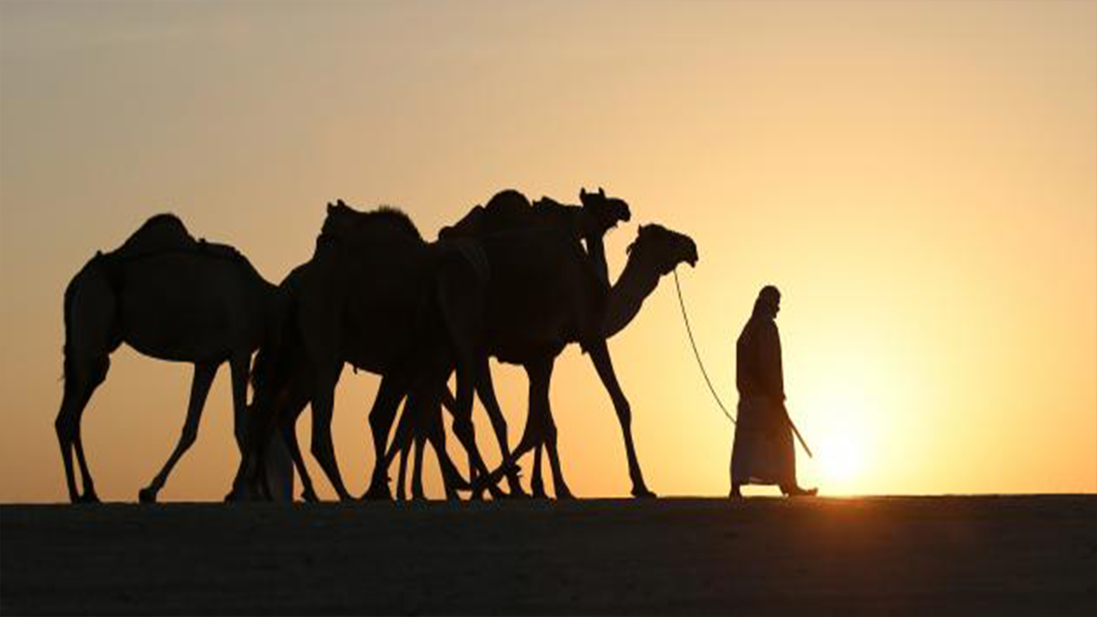 حكاية صحابي